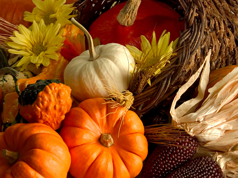 Read more about the article Six Energy Savings Tips For Thanksgiving