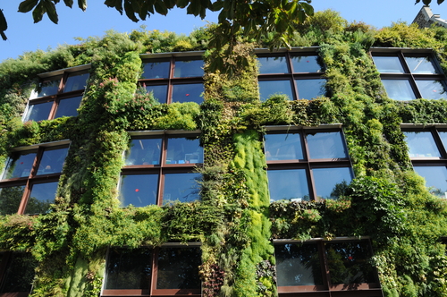 Read more about the article Outdoor Green Walls Can Harm Indoor Air Quality