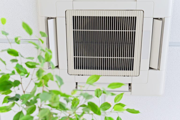 Five Options For Improving Indoor Air Quality In Your Office Building