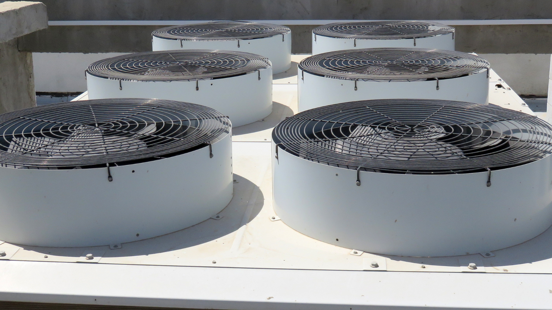 Read more about the article The Importance of Clean Equipment