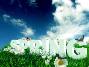 Read more about the article Spring Cleaning Should Include HVACR Maintenance