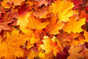 Read more about the article HVACR Preventive Maintenance Best During in Off Seasons