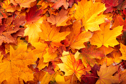 Read more about the article HVACR Preventive Maintenance Best During in Off Seasons