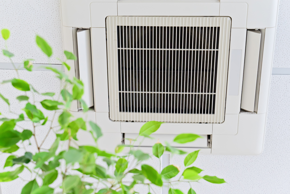You are currently viewing Five Options For Improving Indoor Air Quality In Your Office Building